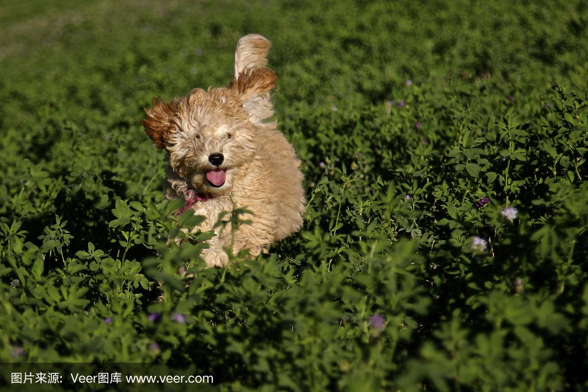七嘴八舌 第2页