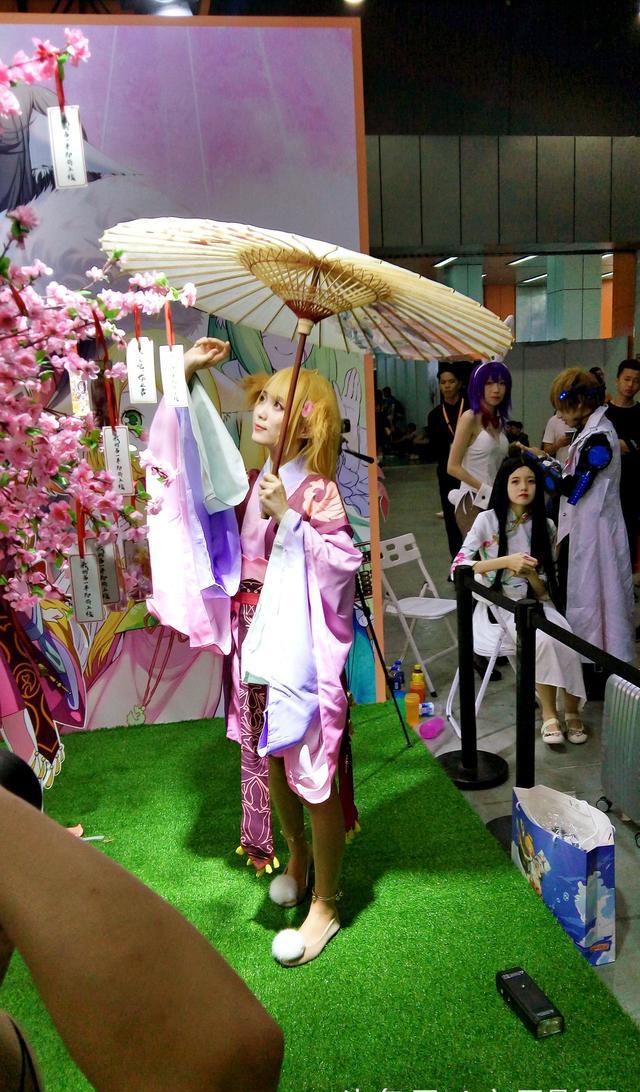 漫展最新图,一场自然美景的探索之旅