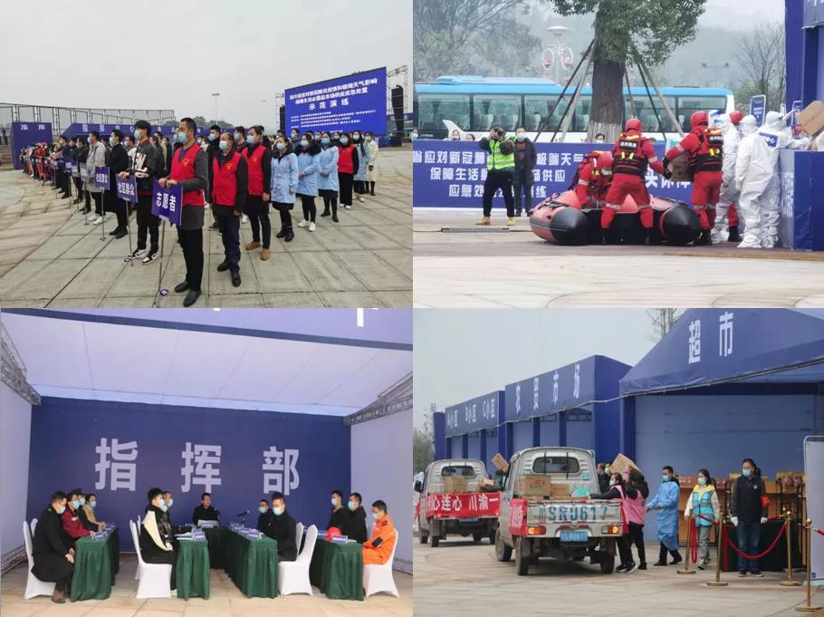 最新版肺炎,背景、重要事件与地位