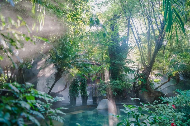 茉莉最新版,一场自然美景的探索之旅