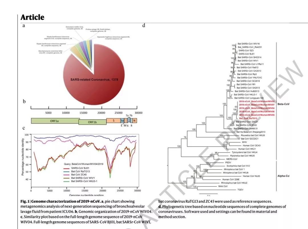 最新型转子,技术革新与领域地位的深刻洞察