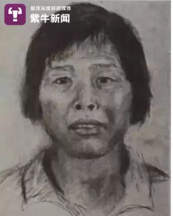 梅姨最新报道,揭示其背景、事件、影响与时代地位