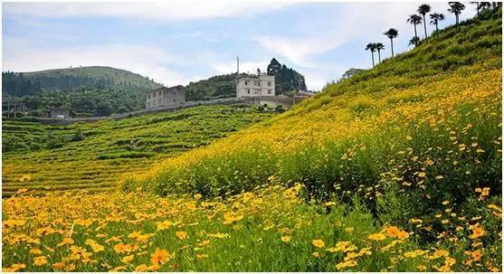 图们江畔,踏上一场自然美景的治愈之旅