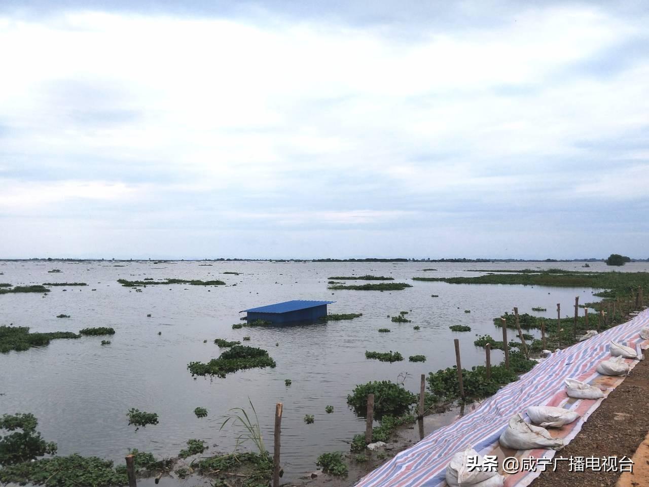 斧头湖最新水位