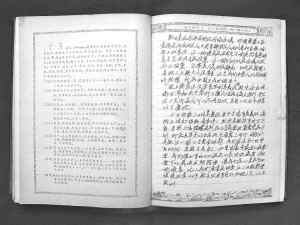 日记最新版,背景、发展、影响与时代地位