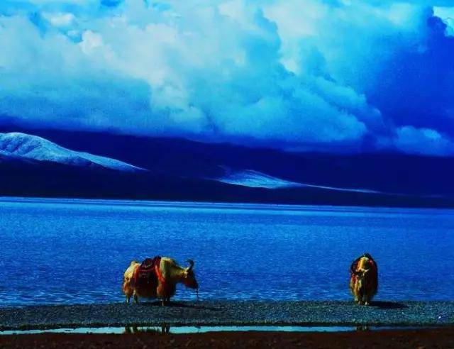 虾米最新事件,一场心灵与自然的美景之旅