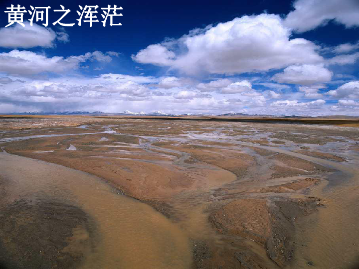 虾米最新事件,一场心灵与自然的美景之旅