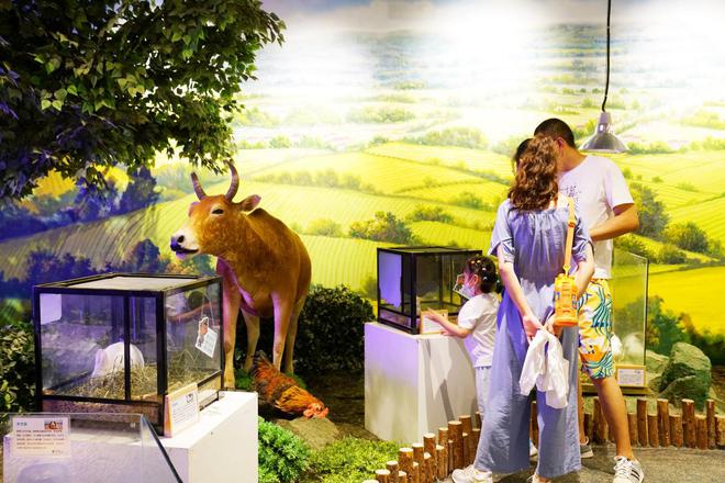 最新优友宝,与自然的奇妙约会,探索内心平静的旅程