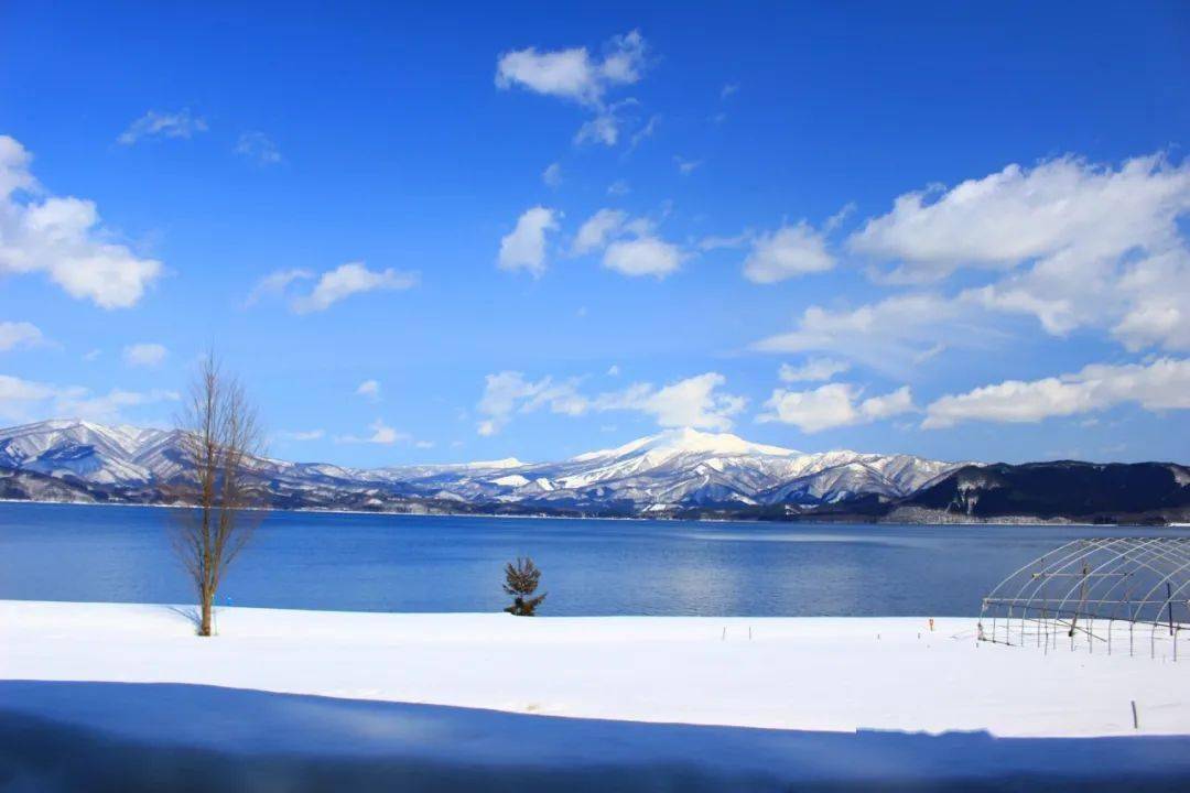 GI最新版,探索自然美景的轻松之旅,寻找内心的宁静之地