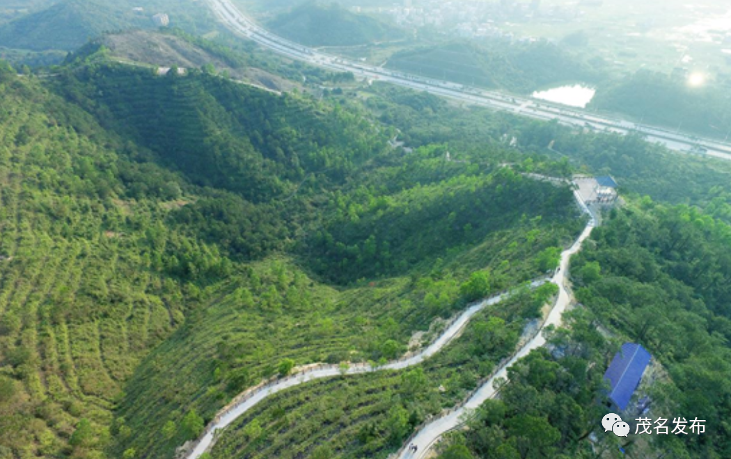 最新卢龙限号，一场自然美景的探索之旅