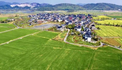 最新卢龙限号,一场自然美景的探索之旅