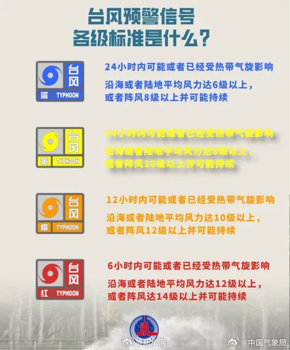 最新台风现场消息应对指南