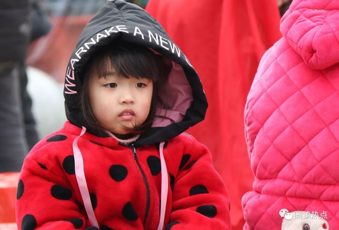 濠城镇最新动态,如何完成某项任务或学习某种技能的步骤指南(初学者/进阶用户适用)