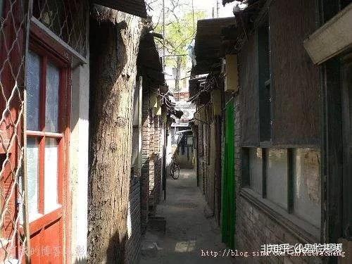 新城控股最新资讯,小巷深处的独特风味——一次别样的探索之旅