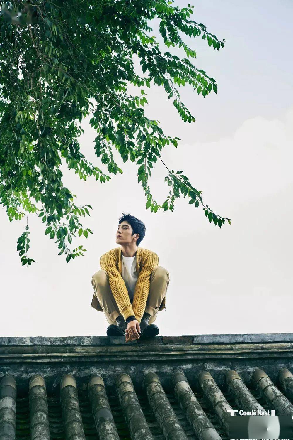 明星泡泡瘦,一场自然美景的奇妙之旅