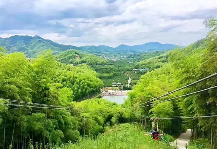泸州市资讯速递,一场自然美景的探索之旅,寻找内心的平和与宁静