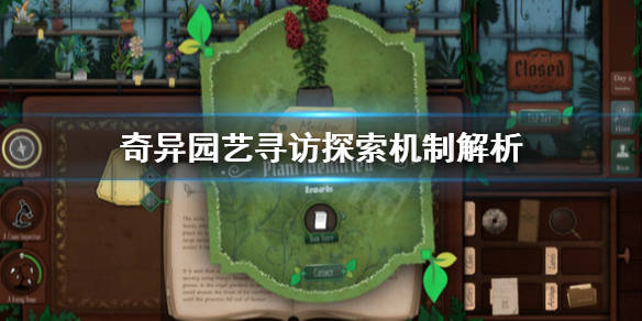 探索未知秘境,8x最新地址,一场寻找内心平静的奇妙之旅