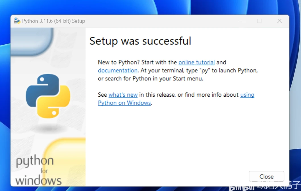 Python最新版下载,时代的宠儿与技术的巨擘