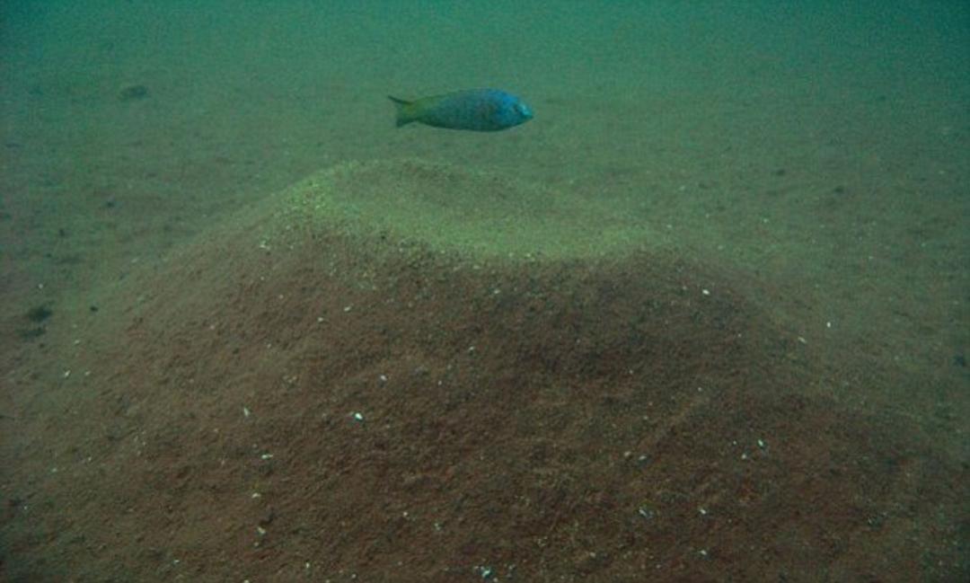 重磅推出CF比赛奖金——科技盛宴，你的荣耀舞台，体验前所未有的刺激与激情！