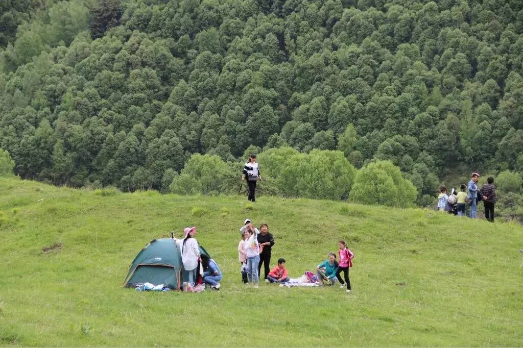 林志颖最新动态,与大自然共舞,寻找内心的平和乐章