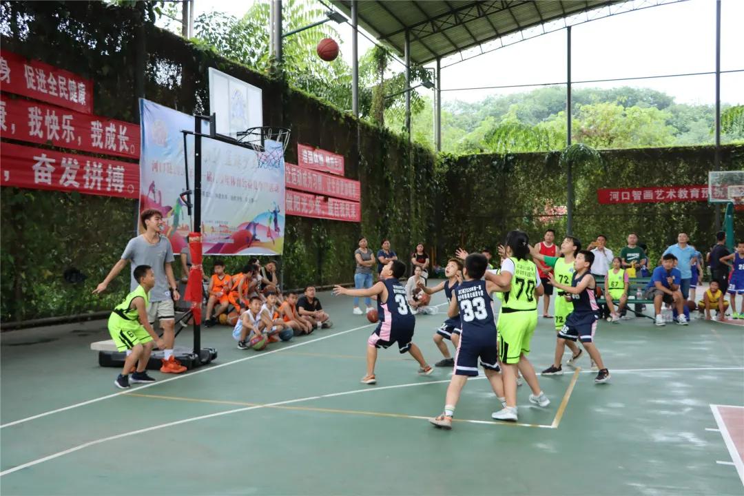 中央电视五台节目,探索体育世界的无限魅力