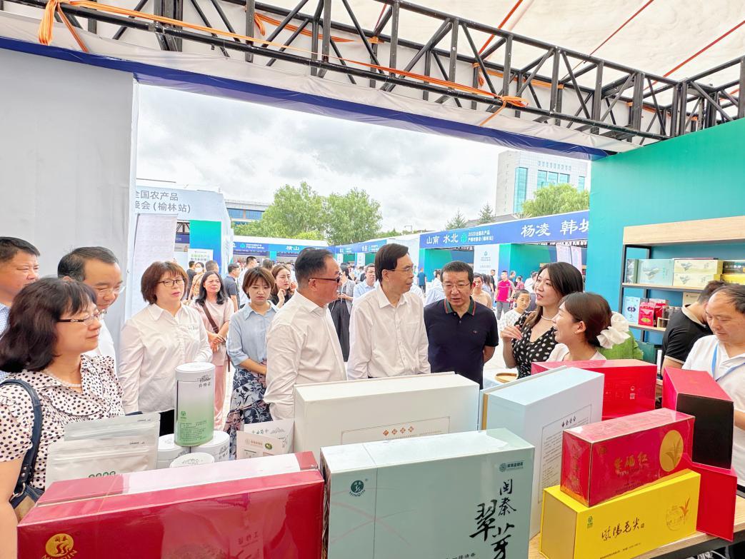 商丘土豆行情,土豆背后的励志故事