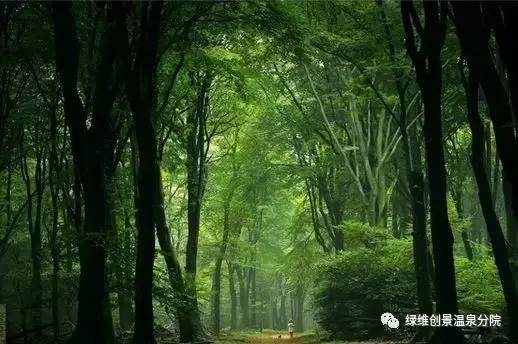 L游戏比赛,一场自然美景中的心灵之旅