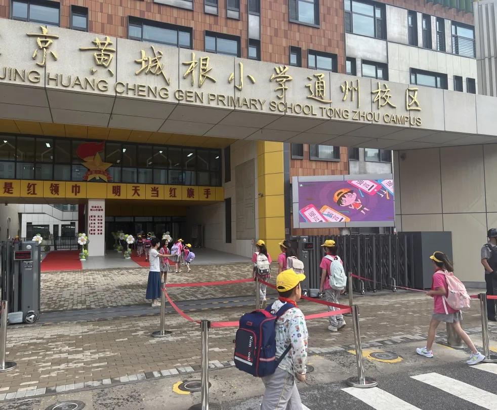 领妹新动态,聚焦三大要点的新发展