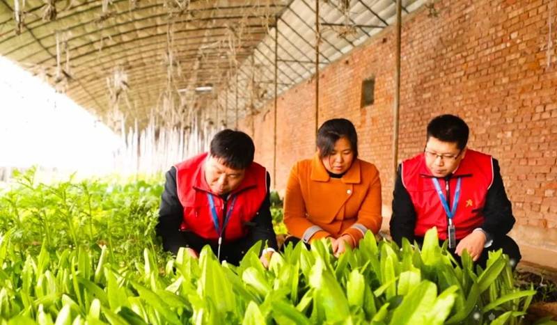 领妹新动态,聚焦三大要点的新发展