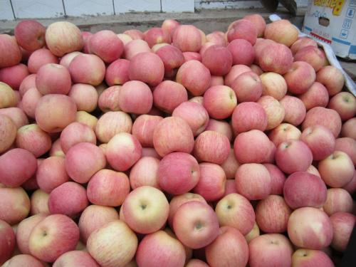 富士苹果价格行情,小巷深处的苹果风味奇遇