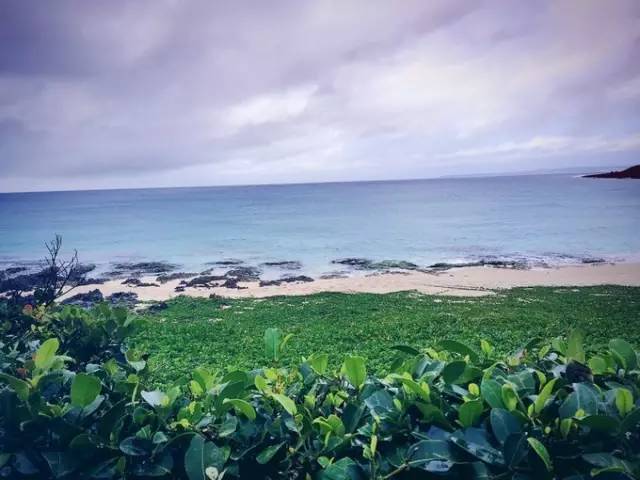 香港上市公司的自然探索之旅,寻找内心的宁静与平衡