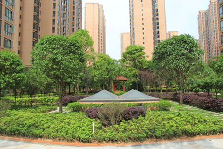 长沙丽发新城最新房价与家的温暖故事