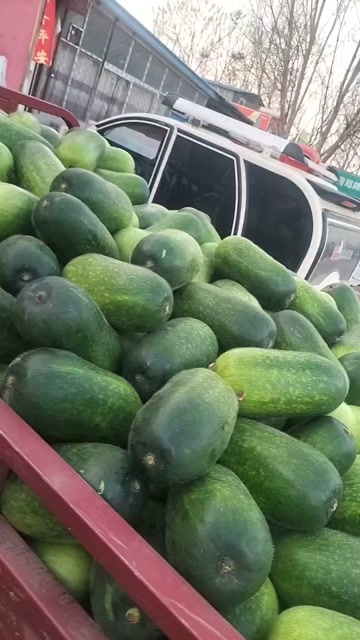 今日冬瓜价格最新行情,小巷深处的冬瓜特色小店探秘