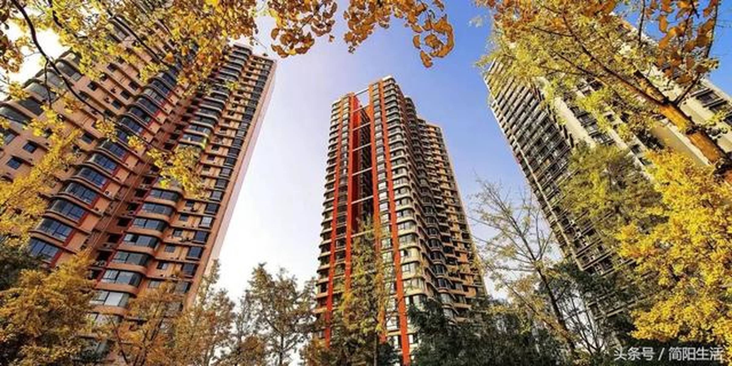 简阳房价信息大揭秘🏠📈,带你走进真实的房地产市场!