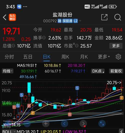 盐湖股票行情与我们的奇妙日常