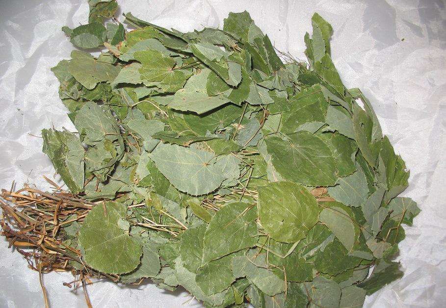 淫羊藿的价格——科技赋能,生活因此而变