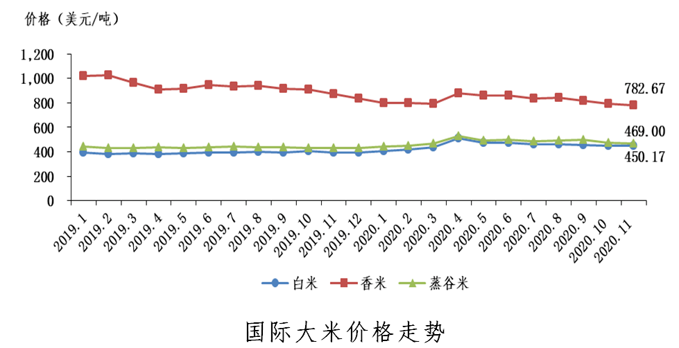 大米价格,市场波动下的多元视角分析