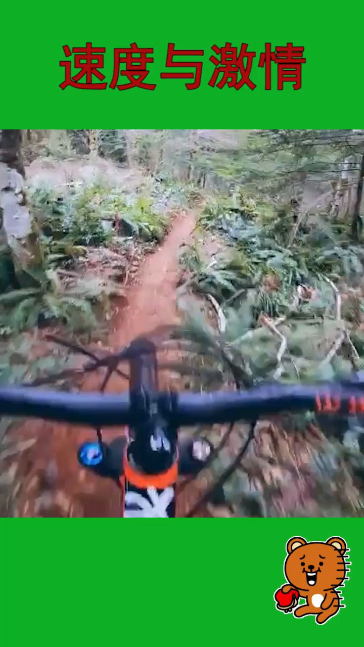 新兴县高铁最新动态,变化中的速度与激情,自信与成就感的旅程