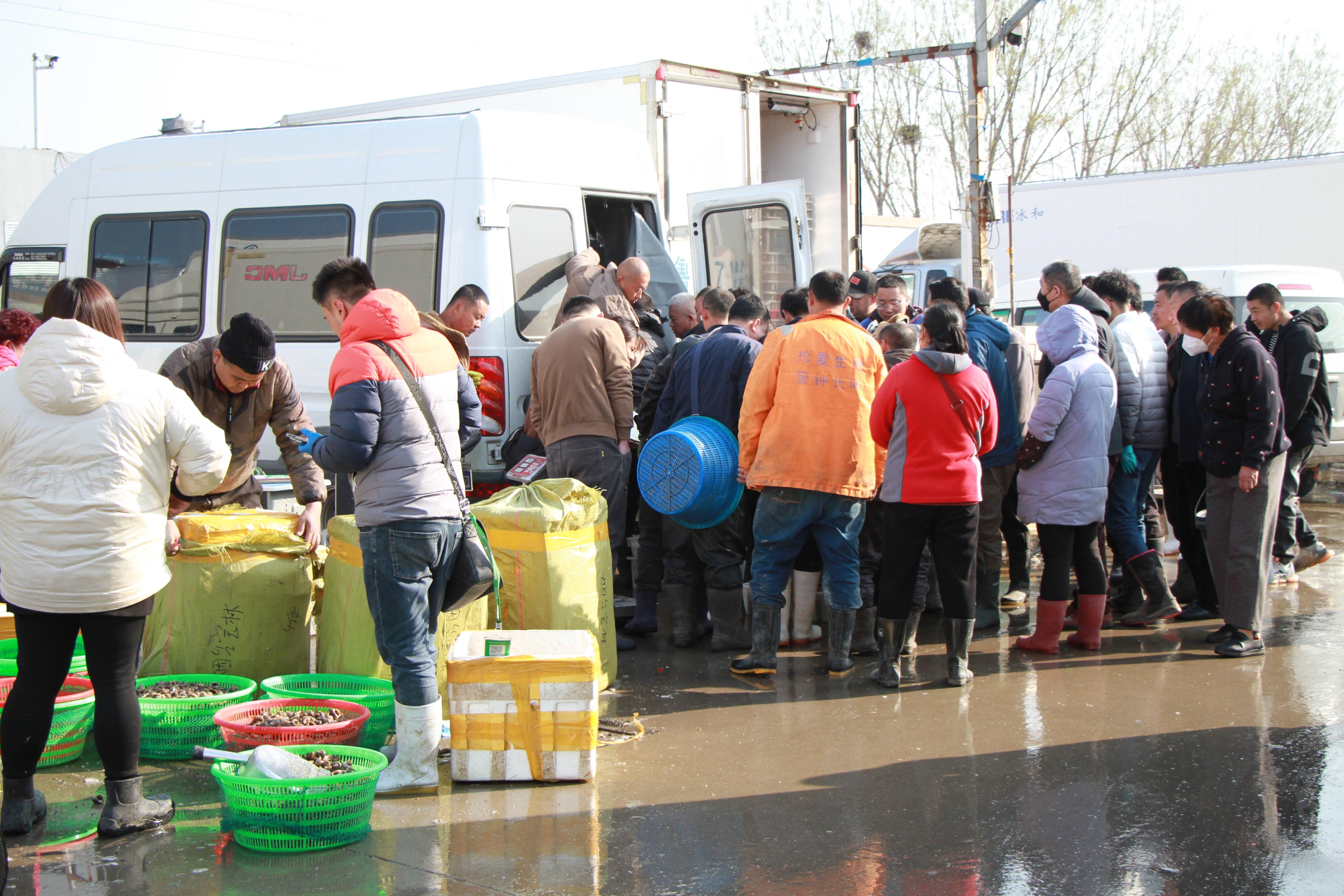 海螺整体上市的利弊分析与个人观点