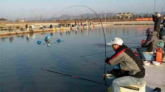 中日钓鱼比赛,钓出友谊,钓出自信