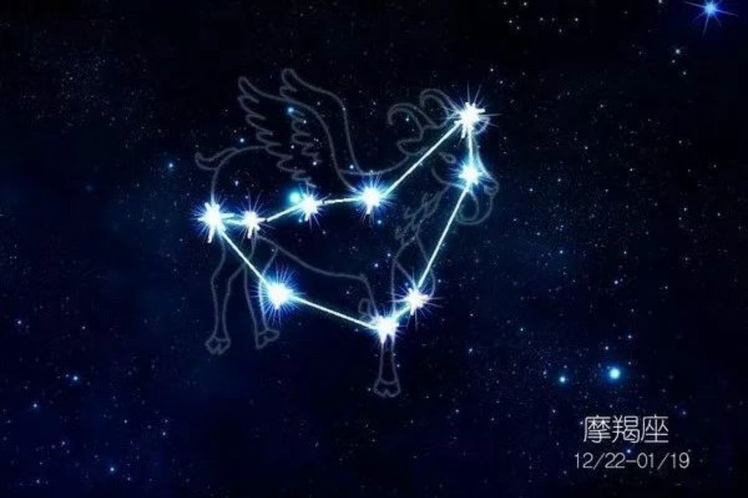 摩羯座明星,星光下的坚韧与执着