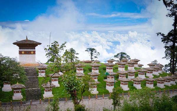洛宁吧今日最新资讯,拥抱自然,寻找内心的宁静之旅