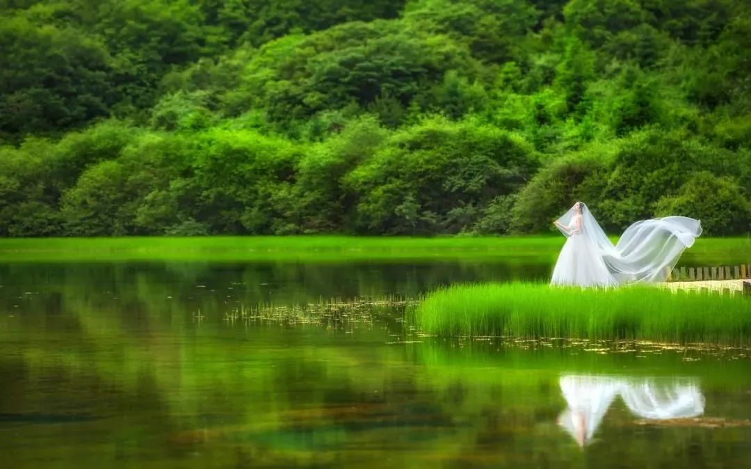 重庆张晓江的探险之旅,自然美景下的心灵觉醒