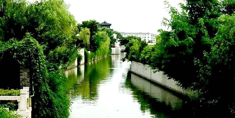 关于文交所最新动态,小巷深处的文化宝藏