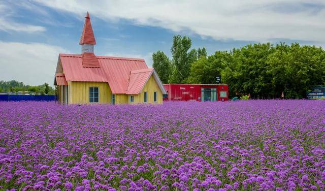 射阳租房信息速递,与自然美景的浪漫邂逅,启程寻找内心平静