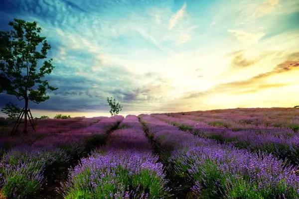 最新创想,一场探索自然美景的旅行,寻找内心的平和