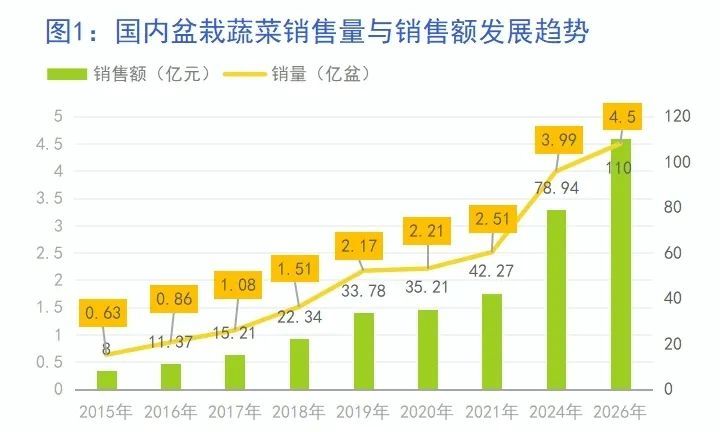 蔬菜股票投资步骤指南(适合初学者及进阶用户)