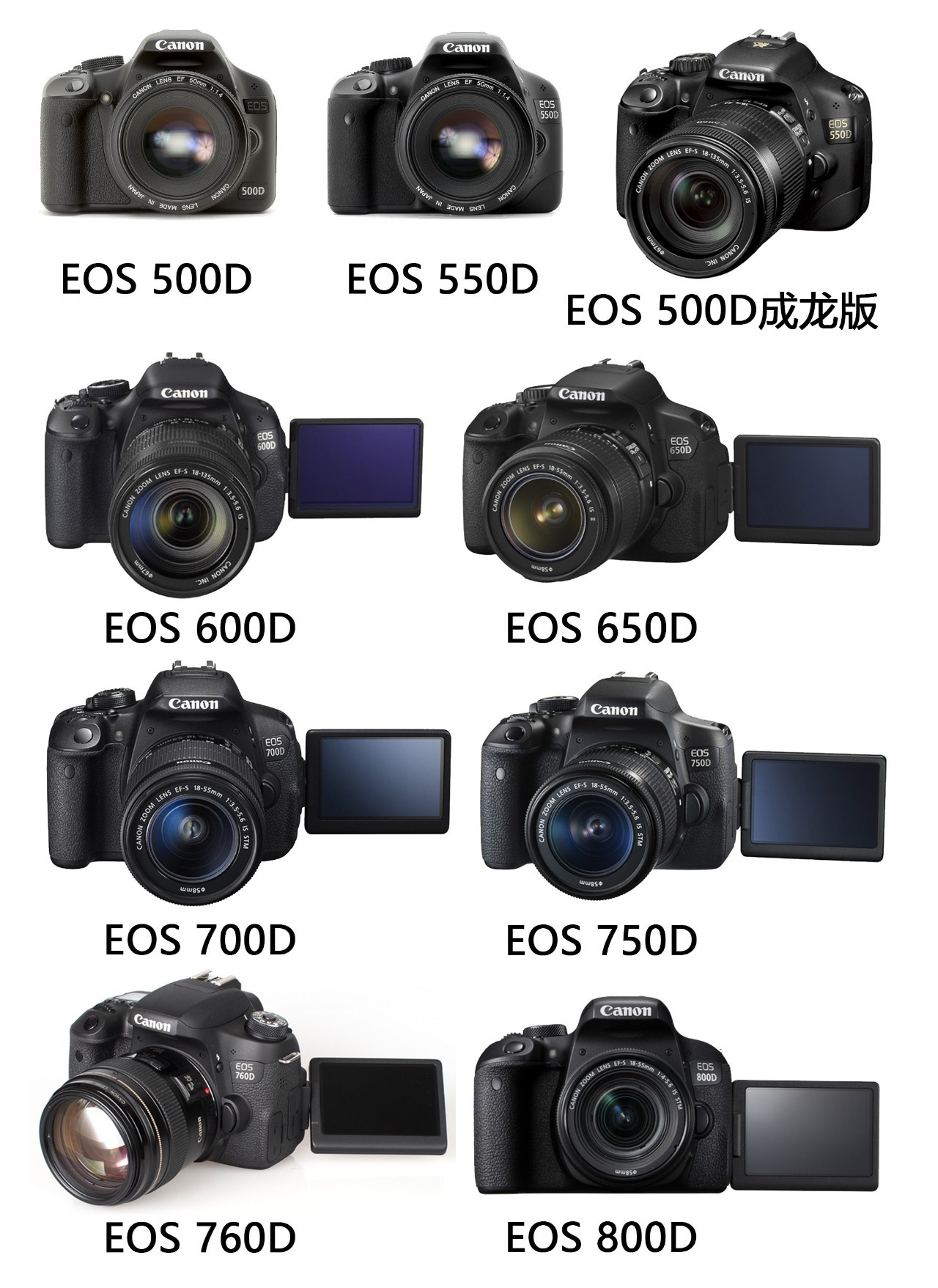 佳能新款相机型号发布,小巷深处的摄影宝藏