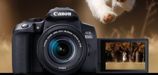 佳能新款相机型号发布,小巷深处的摄影宝藏