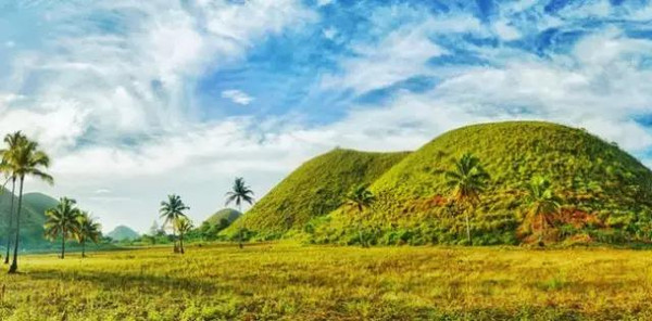 小核桃上市了,走吧,一起去探索自然美景!